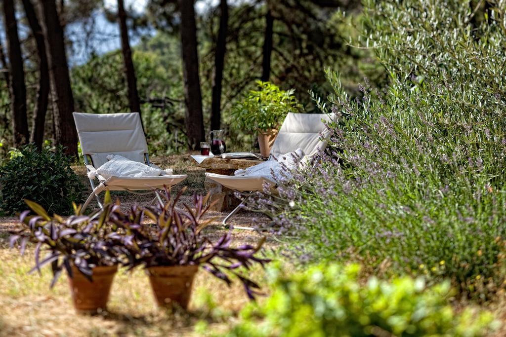 Cortijo De Ramon ξενώνας Cortijos Nuevos Εξωτερικό φωτογραφία